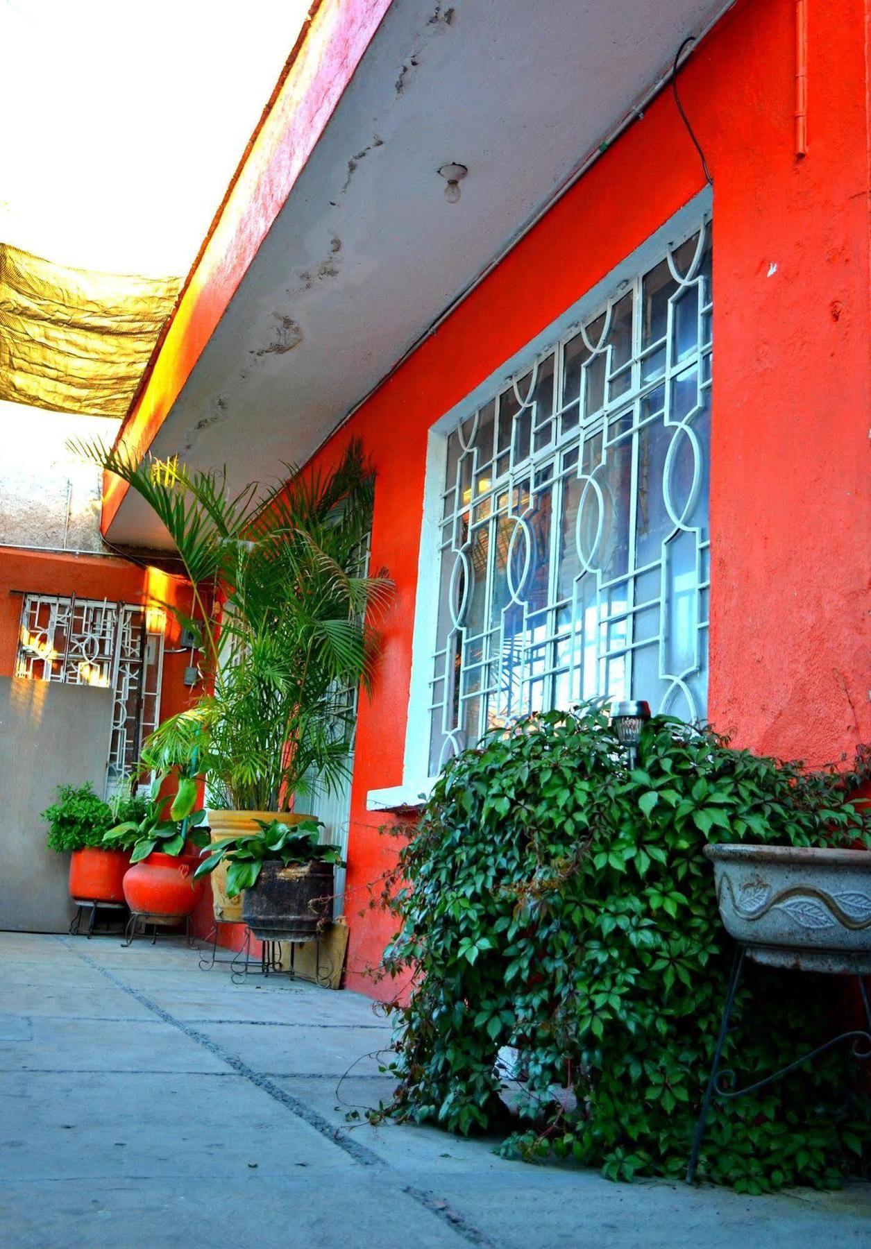 Hostal Maple Querétaro Εξωτερικό φωτογραφία