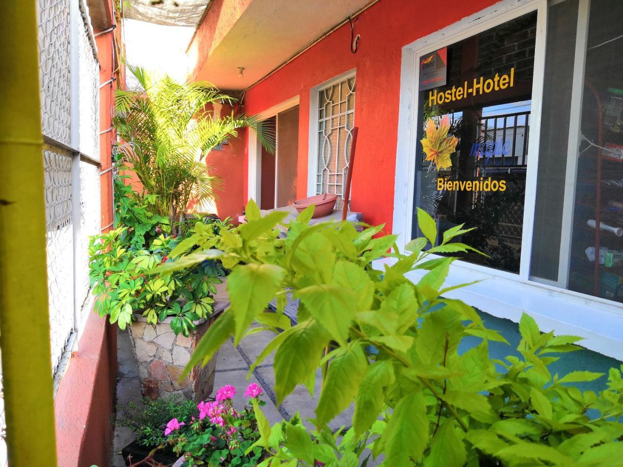 Hostal Maple Querétaro Εξωτερικό φωτογραφία